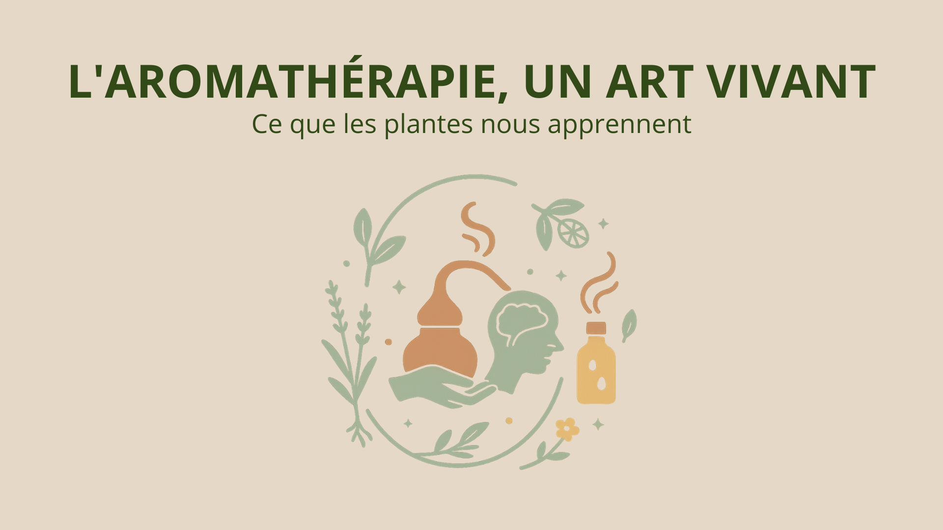 Article 10 — L’aromathérapie, un art vivant