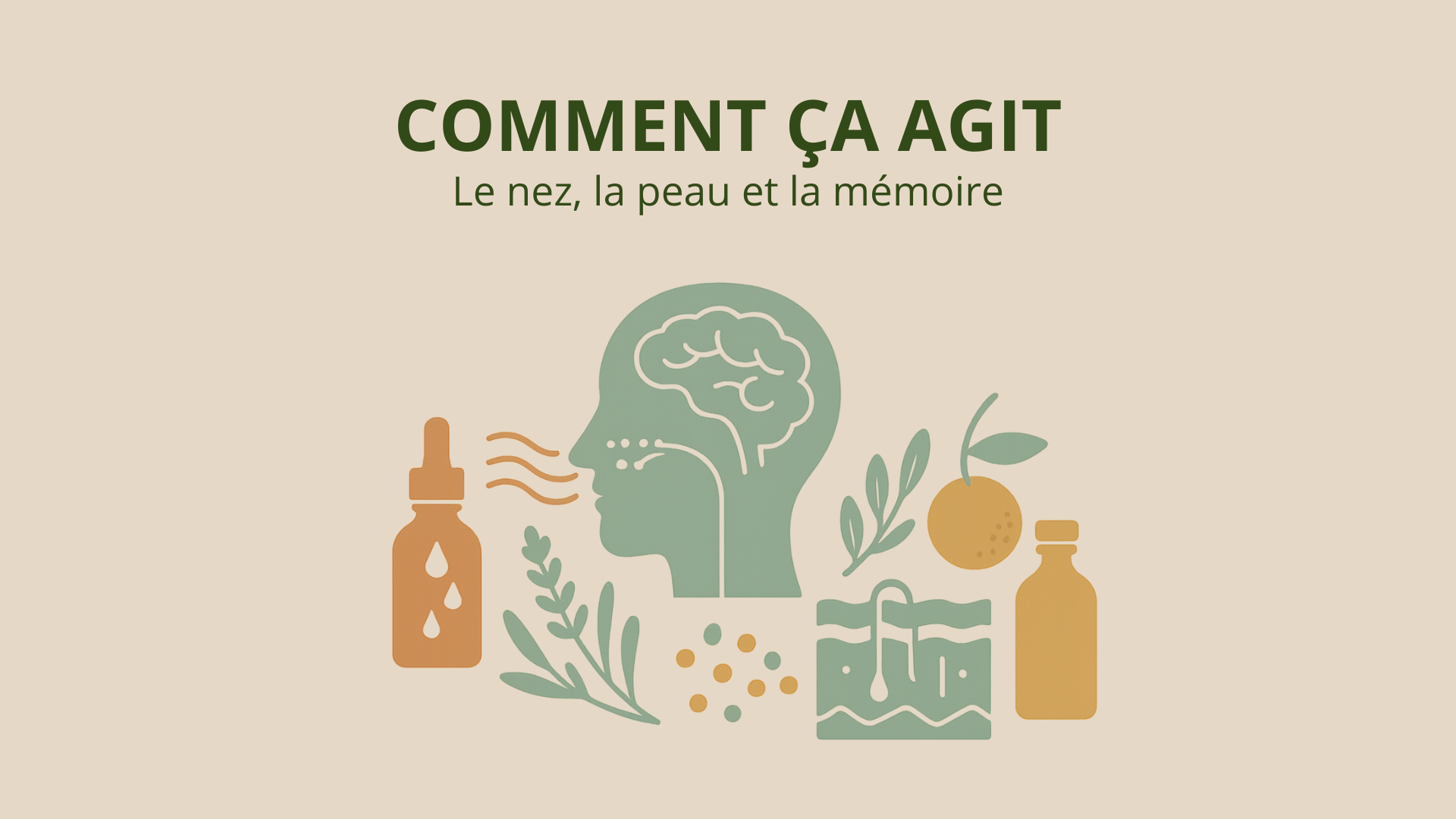 Article 4 — Comment « ça agit »