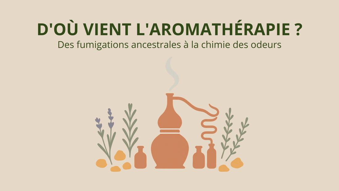 Article 2 — D'où vient l'aromathérapie ?