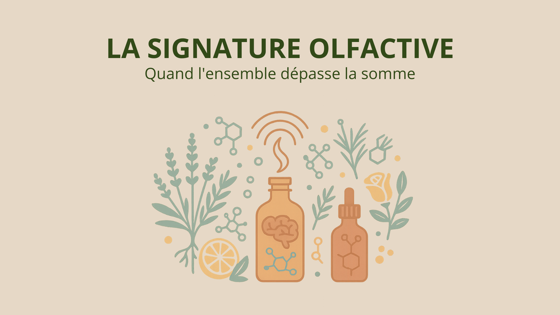 Article 9 — La signature olfactive d’une huile essentielle