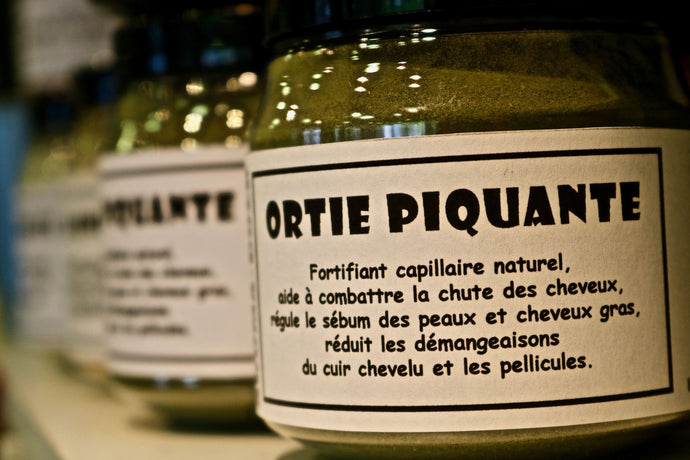 Les Bienfaits de la Poudre d'Ortie